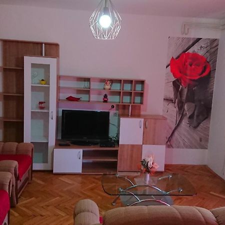 Apartments Vesna Kampor エクステリア 写真