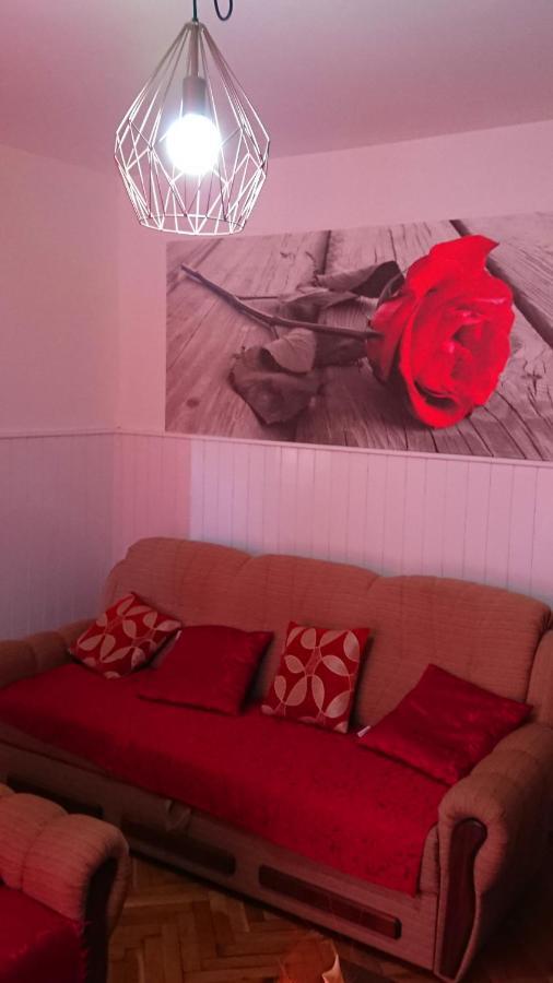 Apartments Vesna Kampor エクステリア 写真